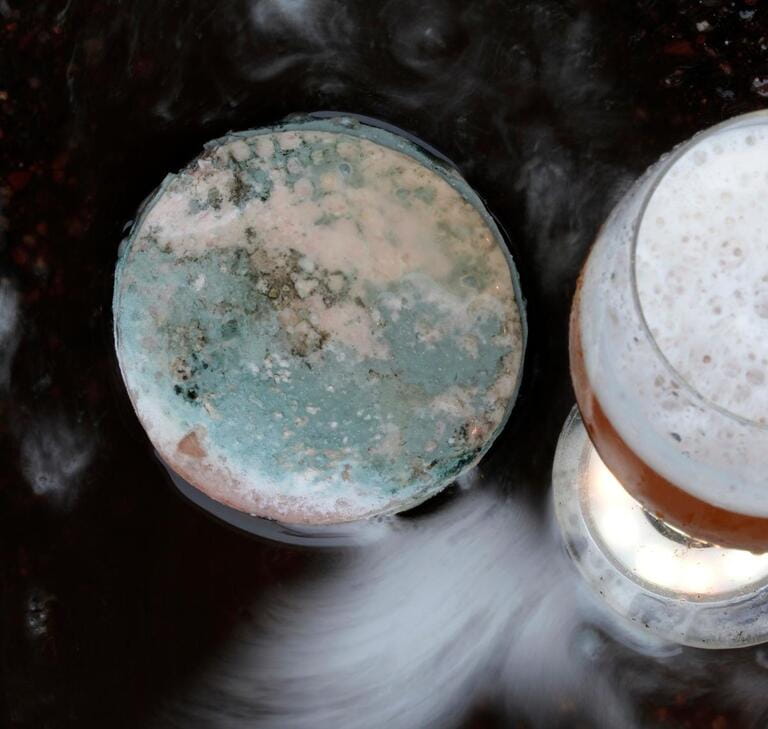 moldy beer isolated in dark background moldy beer isolated in dark background