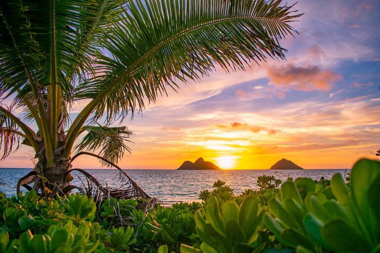 A gorgeous tropical sunrise over Lanikai Beach in Kailua, Oahu, Hawaii A gorgeous tropical sunrise over Lanikai Beach in Kailua, Oahu, Hawaii