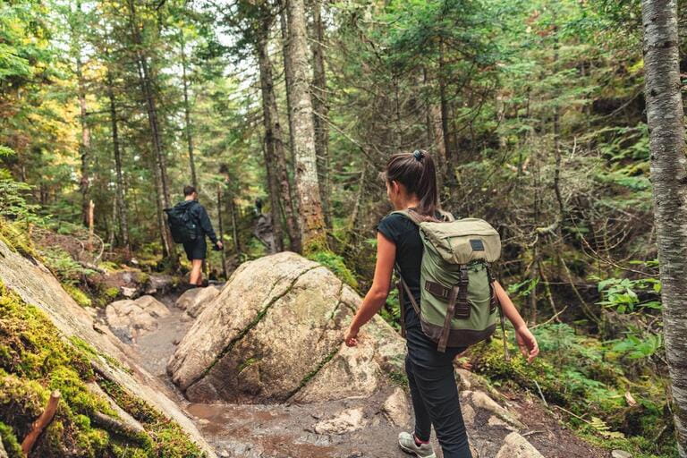 Hikers walking on forest trail with camping backpacks. Hiker woman from behind hiking in autumn fall nature woods. Hikers walking on forest trail with camping backpacks. Hiker woman from behind hiking in autumn fall nature woods.