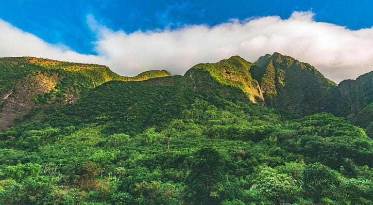 A lush rainforest view of Iao Valley State Park, located outside of Kahului and Wailuku in the West Maui Forest Reserve on the island of Maui, Hawaii, United States. A lush rainforest view of Iao Valley State Park, located outside of Kahului and Wailuku in the West Maui Forest Reserve on the island of Maui, Hawaii, United States.