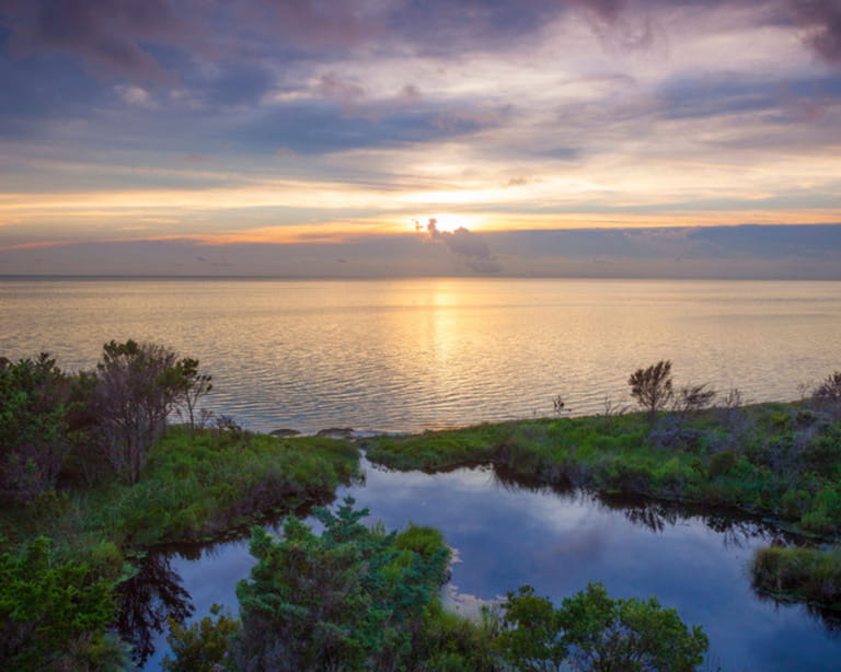 Search for stock images, vectors and videos Cape Hatteras ··· Cape Hatteras, North Carolina Sunset on Pamilco Sound Search for stock images, vectors and videos Cape Hatteras ··· Cape Hatteras, North Carolina Sunset on Pamilco Sound