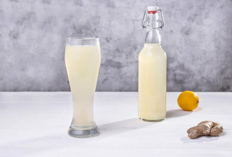Glasses and bottles with homemade ginger beer, lemon and ginger Glasses and bottles with homemade ginger beer, lemon and ginger