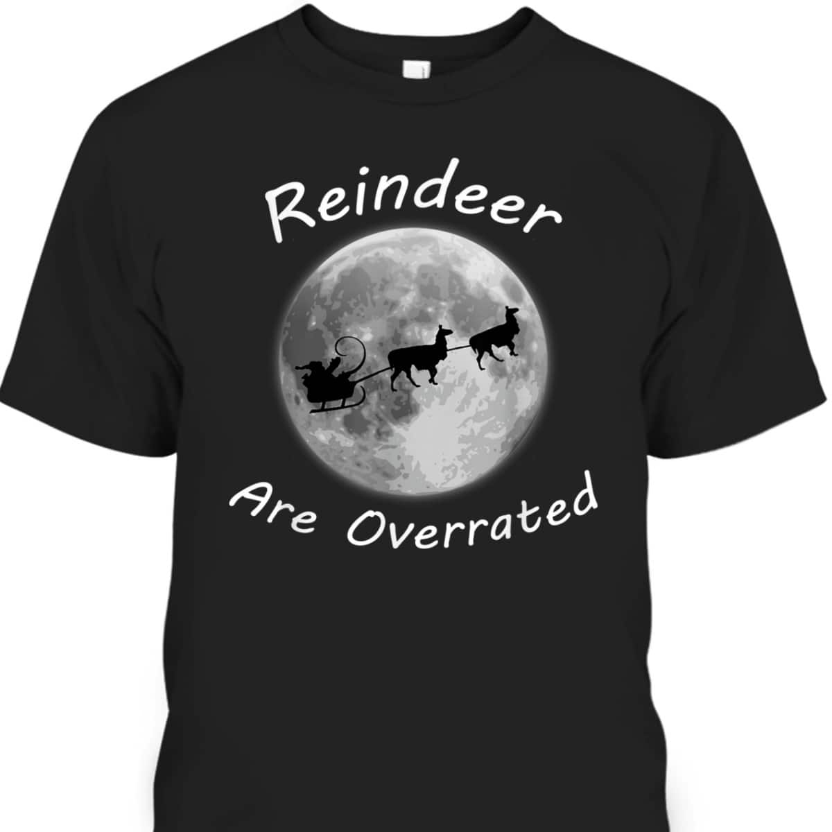 Christmas Llama - Cute Llamas Pull Santa's Sleigh T-Shirt Christmas Llama - Cute Llamas Pull Santa's Sleigh T-Shirt